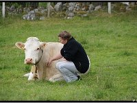2012 07 07 2121-border  Anita knuffelt een koe